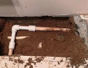 鹤岗测漏水哪家好