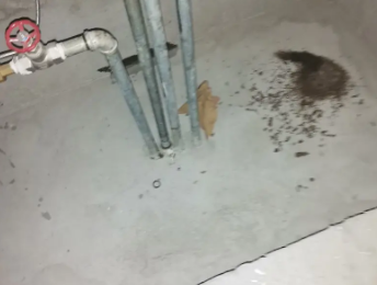 鹤岗卫生间测漏水价格明细